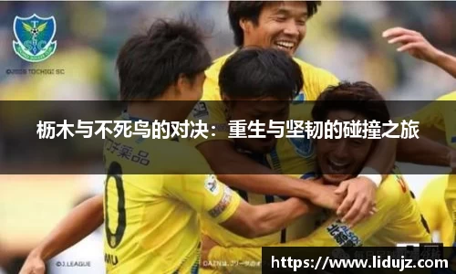 爱游戏ayx官方网站